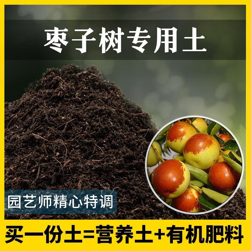 枣子树专用土农业果园种植土家庭果树有机泥土盆栽土枣子树营养土