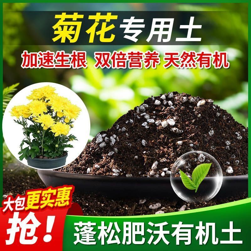 菊花专用土菊花土壤养花营养土多肉绿萝盆栽种植土椰糠土有机肥料