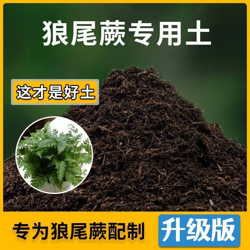 狼尾蕨专用土狼尾蕨营养土家用种植土壤家庭盆栽种花养花有机土