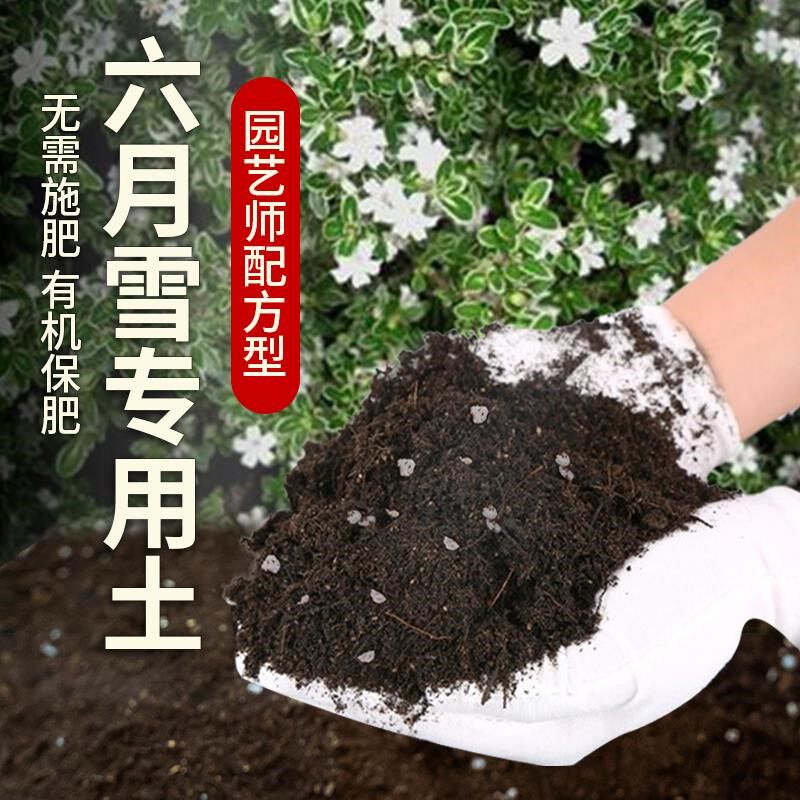 六月雪专用土肥料泥土盆栽土黑土透气椰砖有机土六月雪蓬松营养土