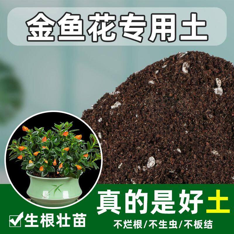 金鱼花专用土金鱼吊兰花营养土养花种花种植土盆栽肥料腐叶腐殖土