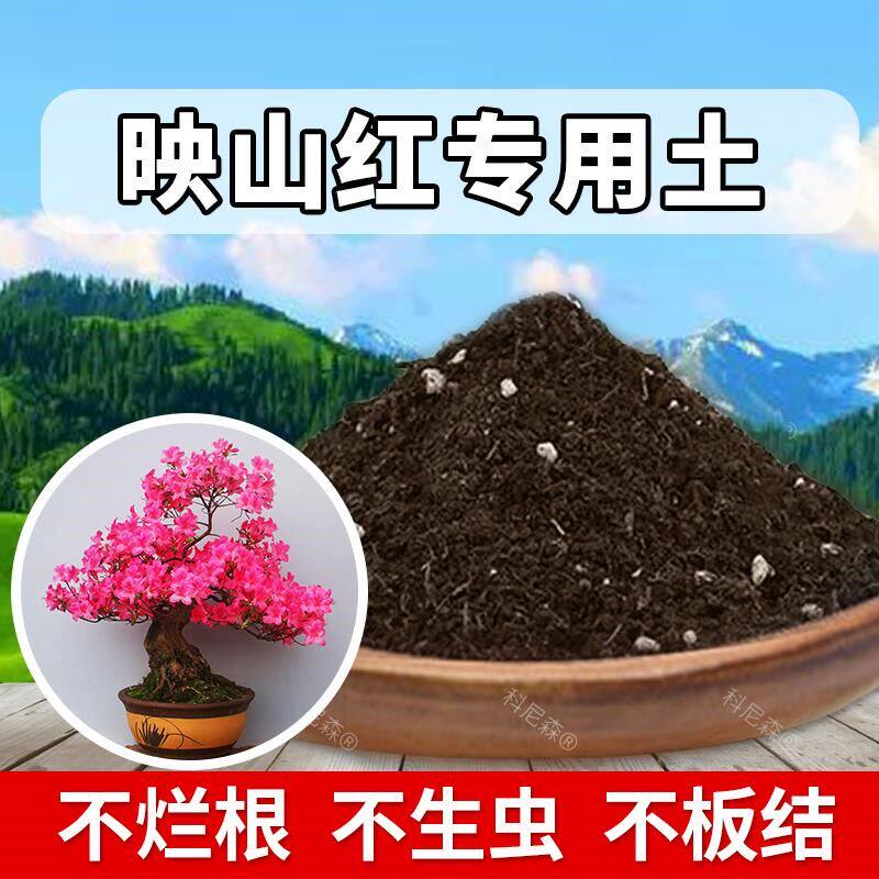 映山红专用土肥料家庭育苗花土室内映山红营养土有机土花卉种花土