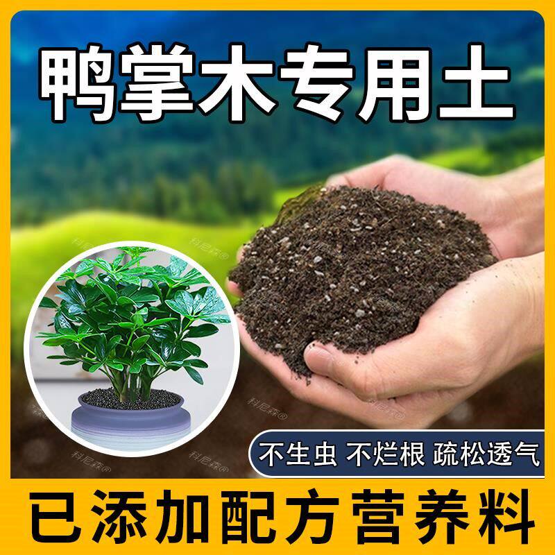 鸭掌木专用土肥料绿植鸭脚木营养土室内黑土透气天然育苗花土花盆
