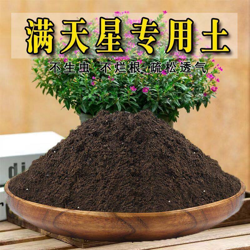 满天星专用土满天星专用营养土盆栽绿植土养花土壤种植土有机肥料
