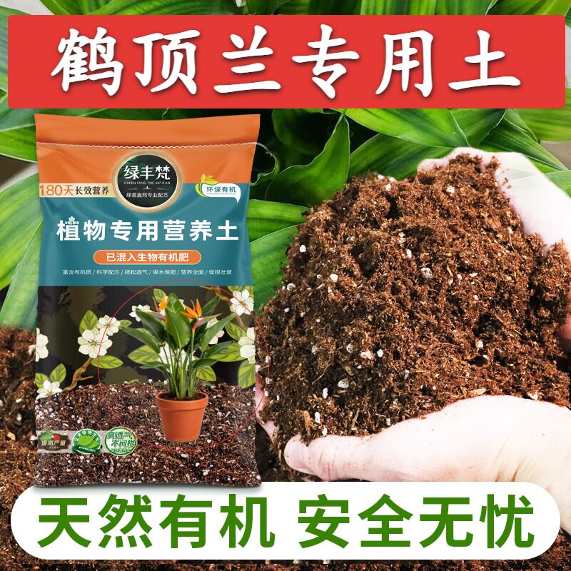 鹤顶兰适用轻质基质土蓬松多孔种植土性质稳定调节土质无草籽木本