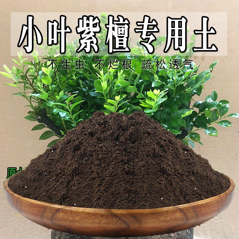 小叶紫檀专用土小叶紫檀土盆栽家用通用养花土种花营养土种植土壤