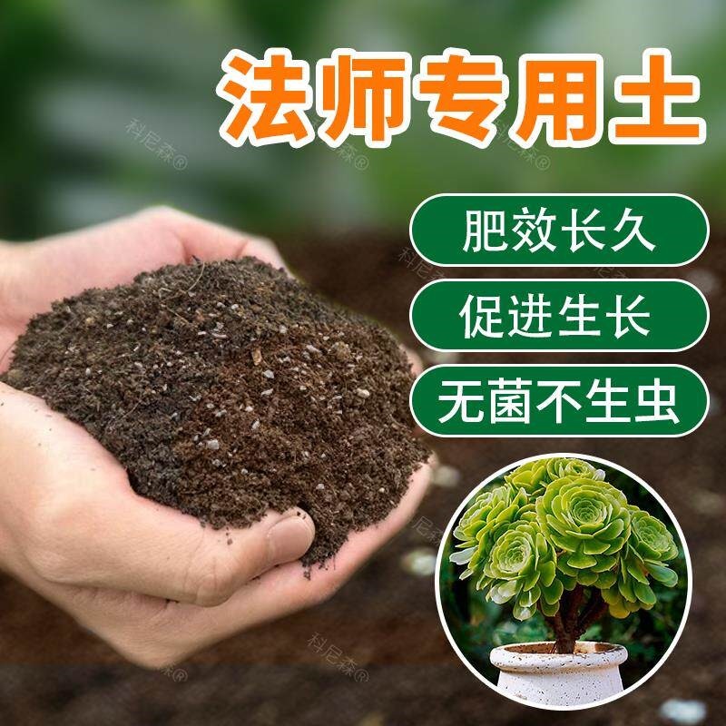 法师专用土多肉有机土盆栽营养土黑法师种植土壤疏松透气发根肥料