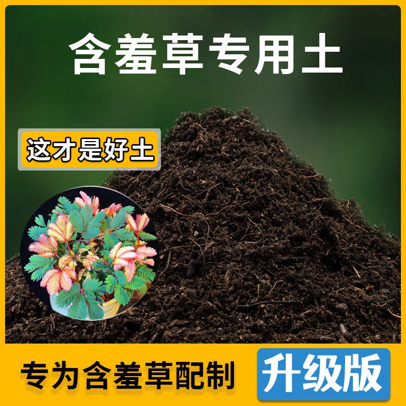 含羞草专用土家用种植土壤透气含羞草营养土盆栽种花养花有机土