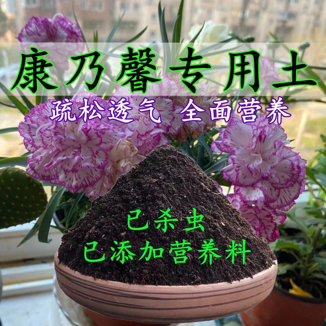 康乃馨专用土康乃馨专用营养土盆栽土养花种花土通用种植土壤肥料