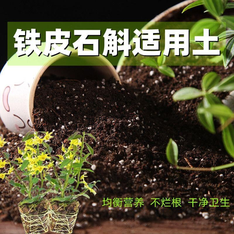 铁皮石斛适用土种花土养花营养土通用有机土种菜土多肉种植土