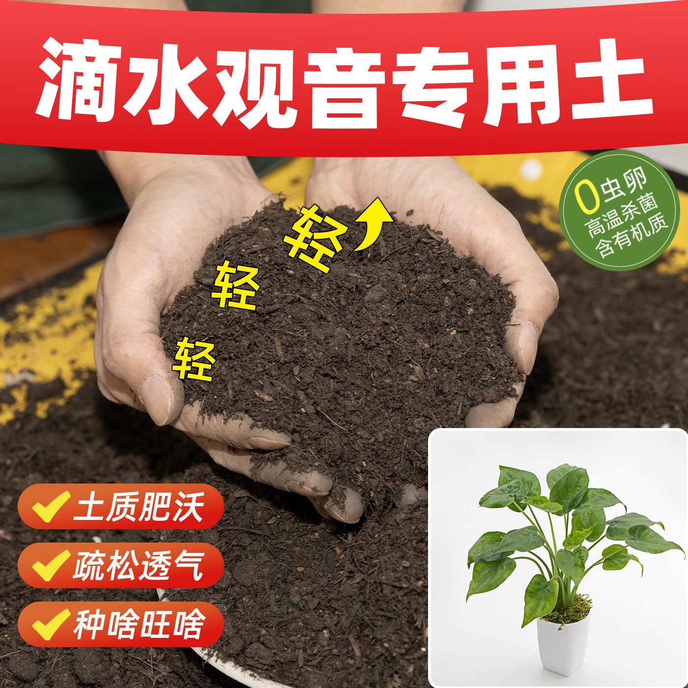 滴水观音专用营养土疏松土壤育苗土长效肥效通用型促生腐殖土盆景