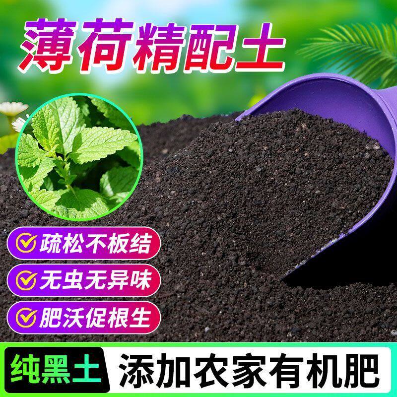薄荷有机营养土养花种菜专用土轻质土农家肥土疏松