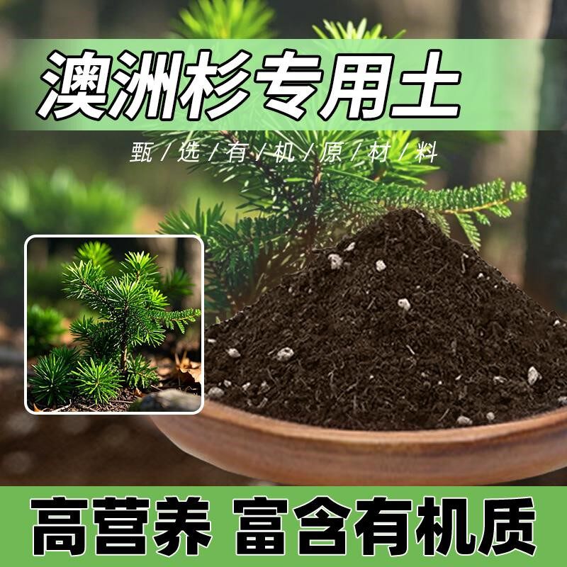 澳洲杉专用土盆栽种菜土花草花肥栽培土澳洲杉专用营养土种花土壤