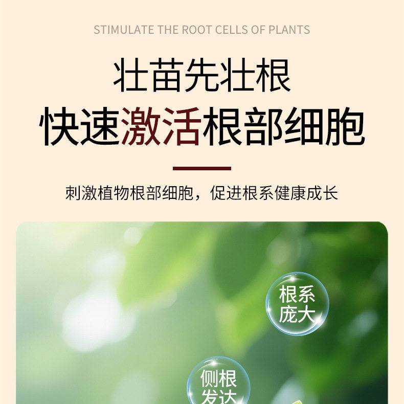 白兰花专用水培型营养液小分子有机质水溶肥兑水即用叶绿花艳盆栽