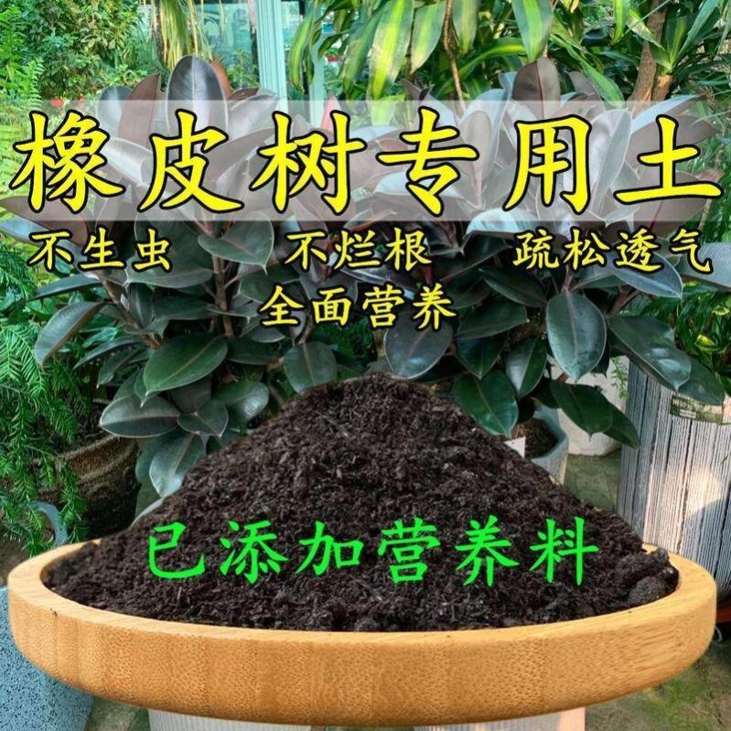 橡皮树专用土橡胶树专用营养