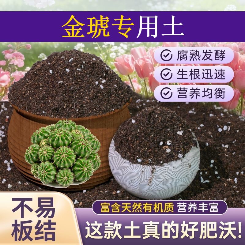 金琥适用轻质土根壮苗好室内包邮优质绿叶木本加牛粪栽培土不闷根