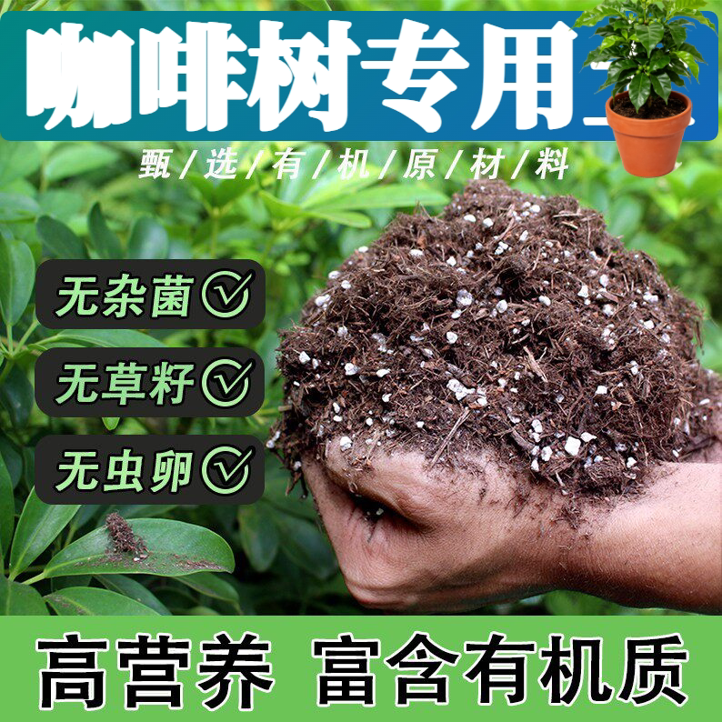 咖啡树适用轻质土绿叶庭院高压嫁接通用土防徒长植料增色盆栽扦插