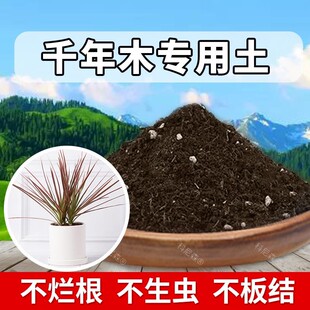 千年木专用土肥料千年木营养土天然花卉植物养花土家庭椰砖种植土