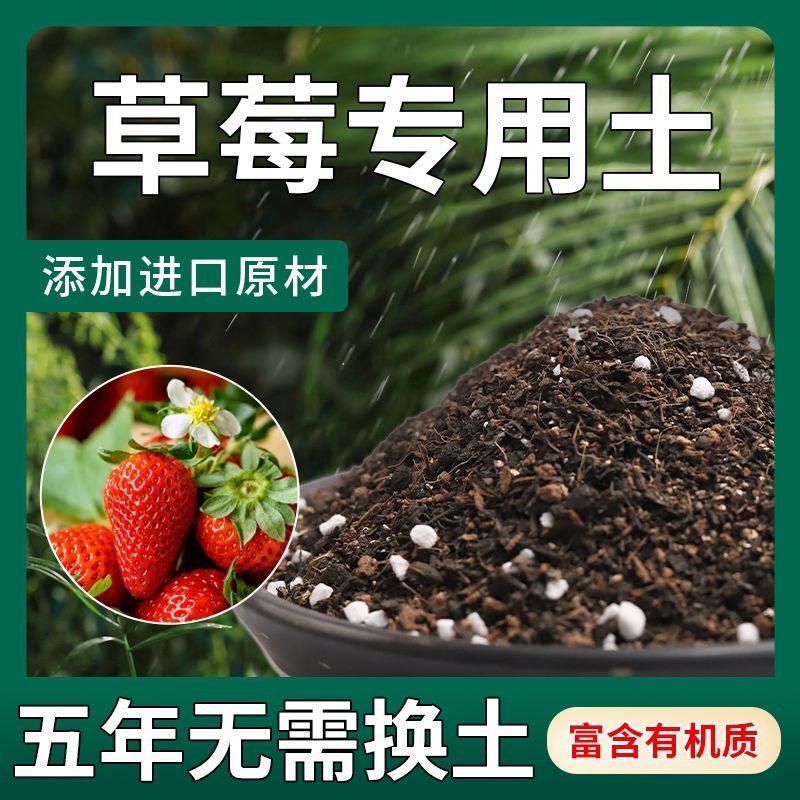 草莓专用营养土瓜果树通用土壤草莓盆栽种植土阳台有机土肥料轻质