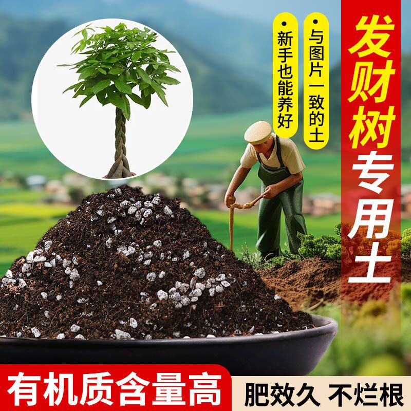 发财树专用轻质土泥炭土蓬松多孔扦插营养土有机观叶屋顶疏松透气