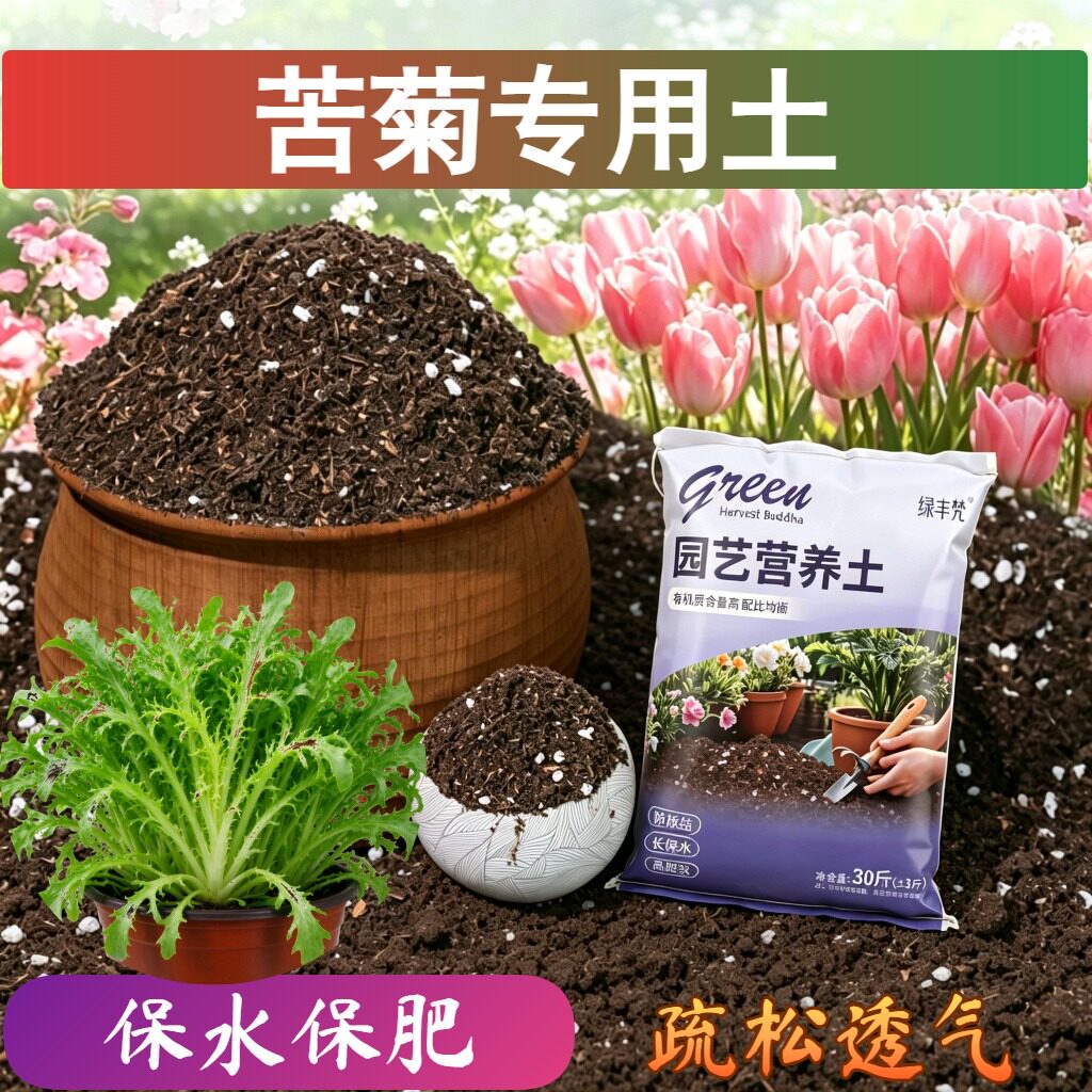 苦菊专用盆景土根壮苗好防烂根盆栽包邮无菌绿叶观花室内防徒长