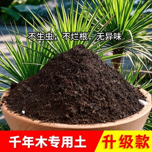 千年木专用土家用盆栽土栽培土养花土阳台七彩铁专用营养土种植土