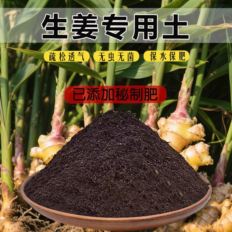 种姜专用土疏松有机土菜园家用种菜土室内阳台蔬菜育苗专用营养土