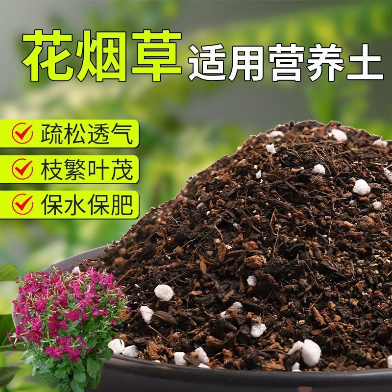 【花烟草专用土】疏松透气盆栽绿植专用室内植物有机营养土肥料