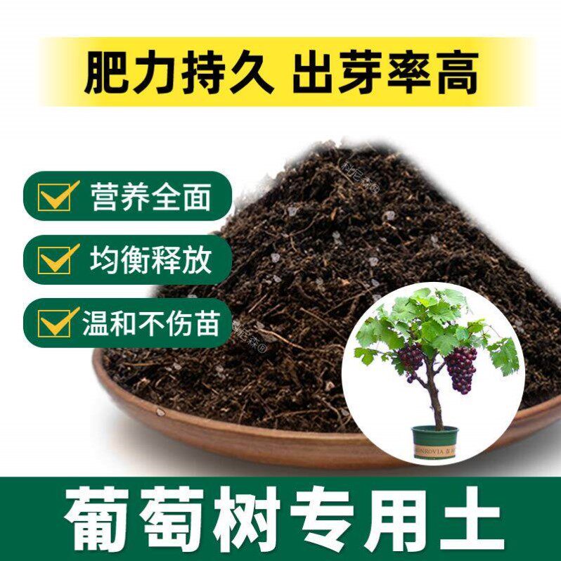 葡萄树专用土肥料室内种植育苗葡萄树种树营养土有机土黑土栽培土