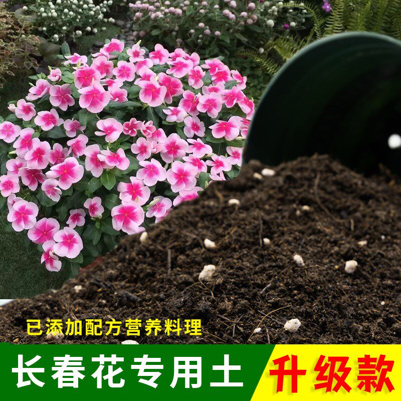 长春花专用土有机土肥料家用种植土长春花营养土盆栽养花通用包邮