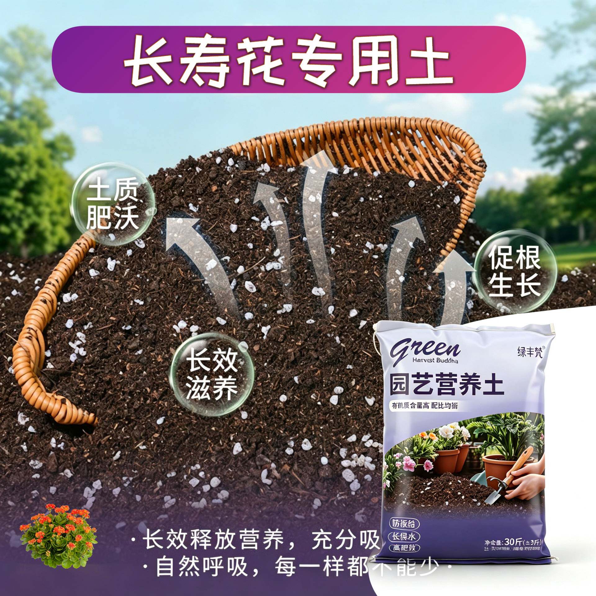 长寿花专用含泥炭不烂根盆栽加牛粪天然防黄叶多肉观叶无菌轻质土