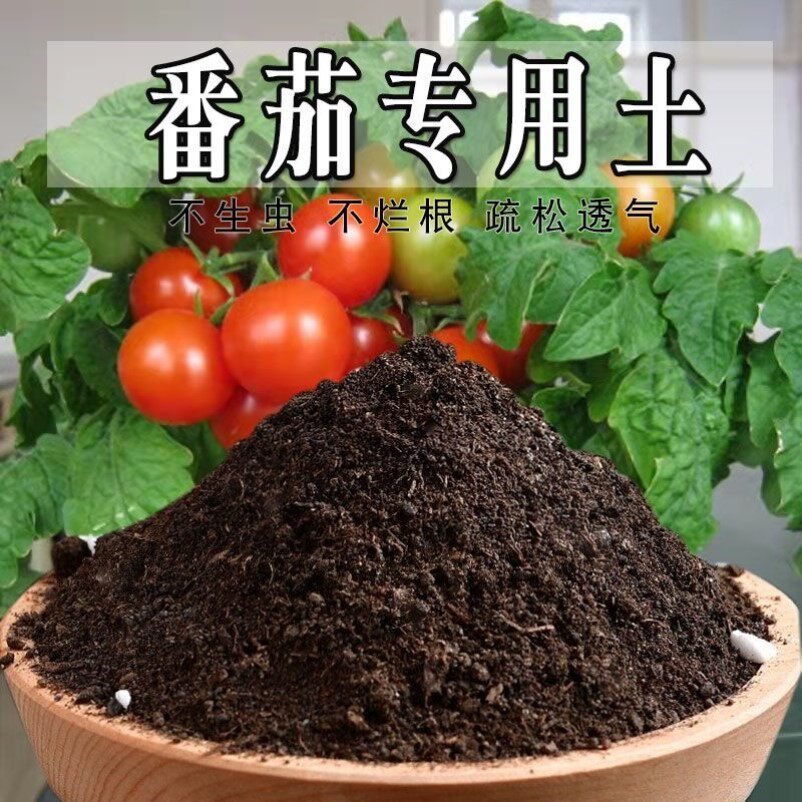 番茄专用土菜地天然阳台瓜果蔬果黑土番茄专用营养土盆栽菜园肥料