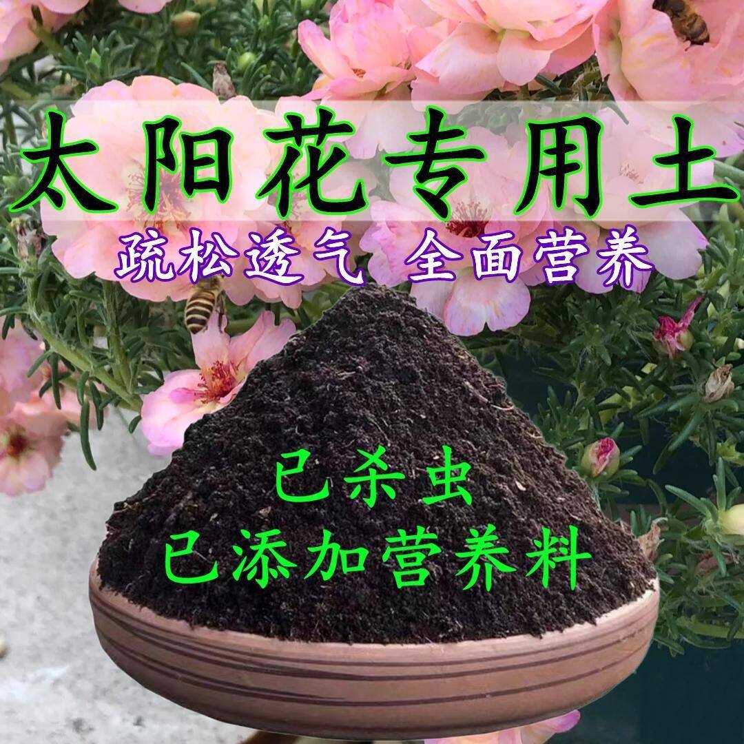 太阳花专用土太阳花专用营养土养花种花土通用种植土酸性土壤肥料