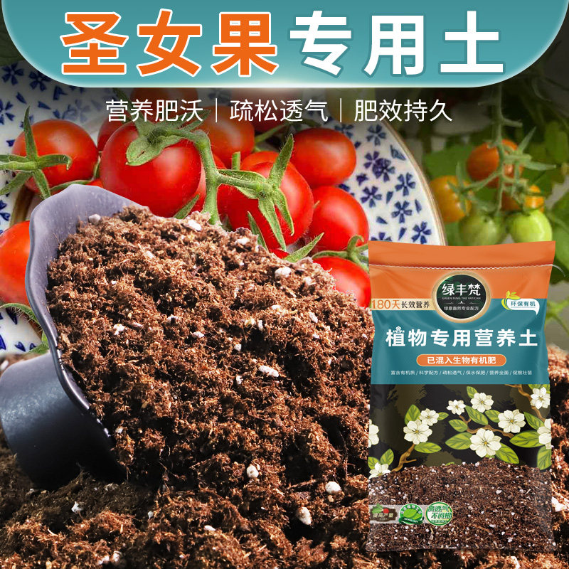 圣女果种植轻质基质土泥炭土不板结促开花室内营养土扦插育苗专用