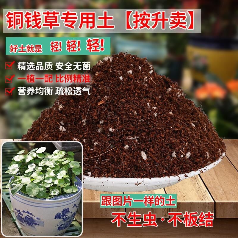 铜钱草专用土轻质土营养土盆栽养花土通用绿植土壤种植土有机肥料