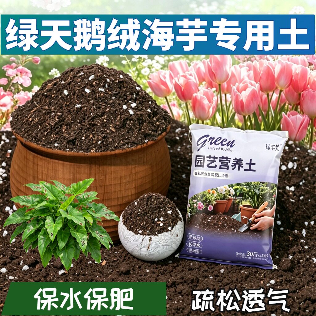 绿天鹅绒海芋专用栽培土防烂根盆栽泥炭基质进口防徒长喜酸扦插