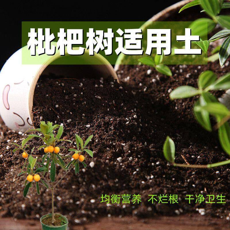 枇杷树适用土酸性种花土养花营养土通用型有机土种菜土多肉种植土
