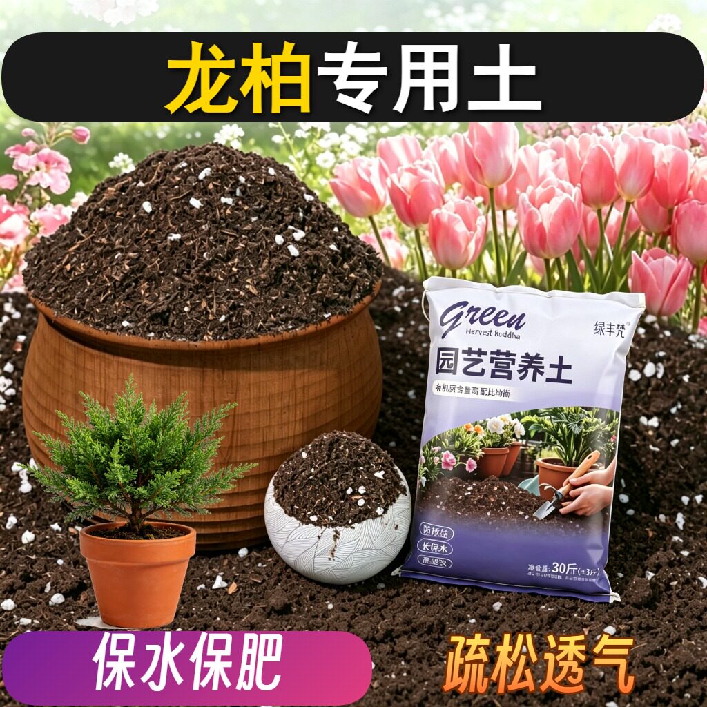 龙柏适用轻质土疏松透气育苗泥炭基质有机增色球根养花土木本扦插