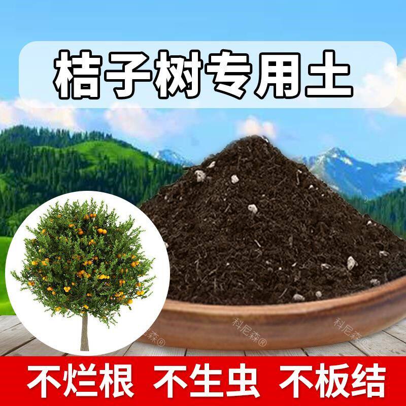桔子树专用土肥料桔子树专用营养土天然盆栽土果树果苗泥土种植土