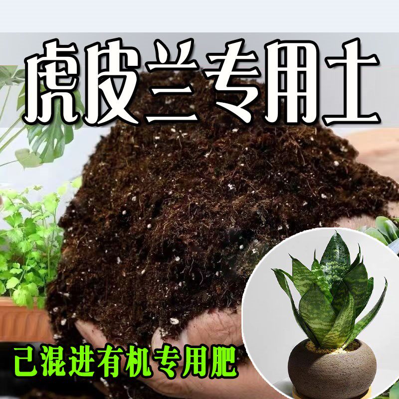 虎皮兰专用土 虎皮兰专用营养土 盆栽养花种花土通用种植土壤肥料