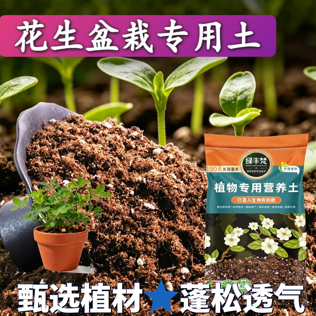 花生盆栽适用花泥利于发根盆栽营养土干净无尘平衡土质无草籽观叶