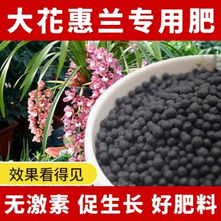 大花惠兰专用肥料大花惠兰专用营养土绿植专用肥二氢钾肥水溶肥