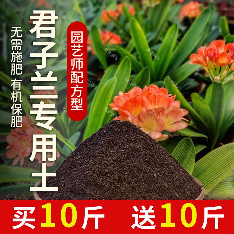 君子兰专用土盆栽君子兰专用肥育苗透气土壤酸性绿植室内黑土肥料