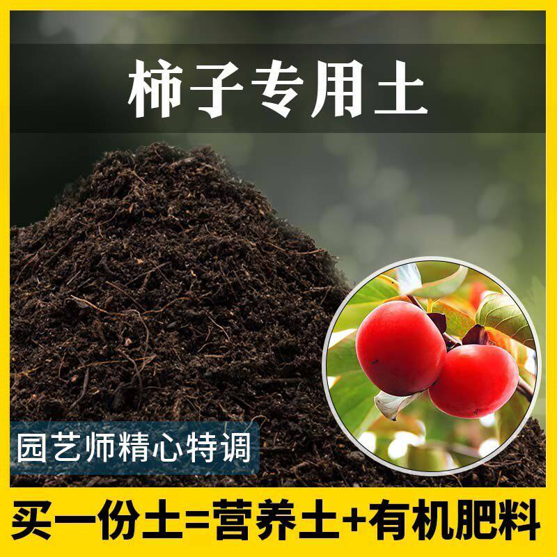 柿子专用土农业果园种植土家庭果树肥料有机泥土盆栽土柿子营养土