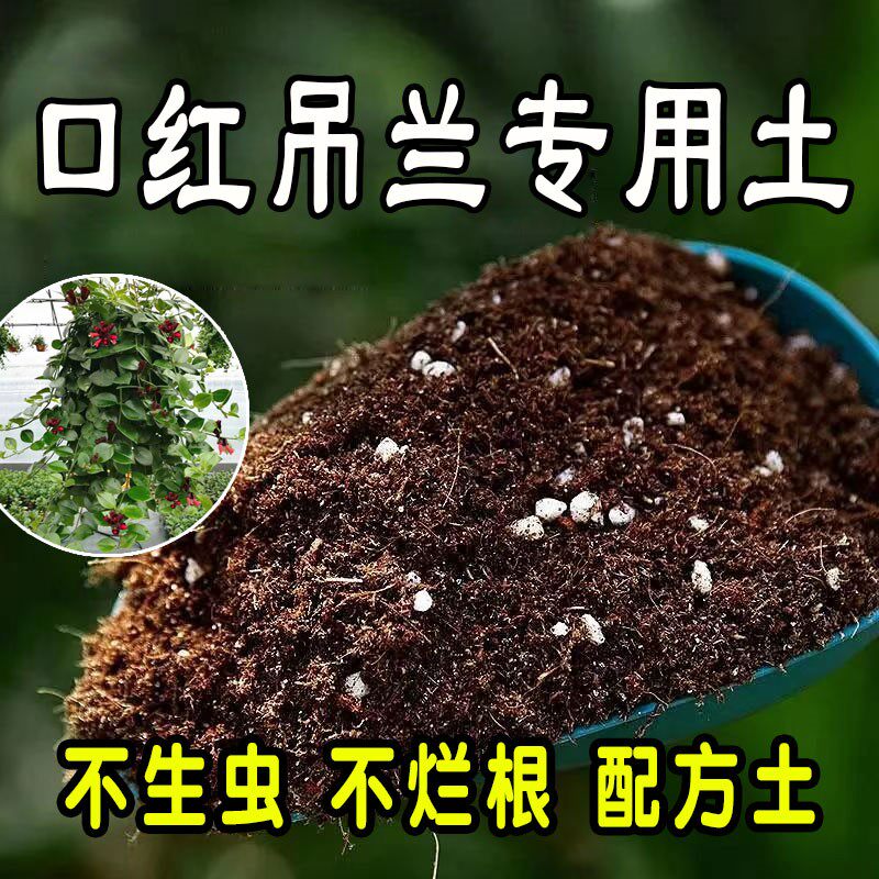 口红吊兰专用营养土花卉营养土养花泥炭土通用种花土壤花土