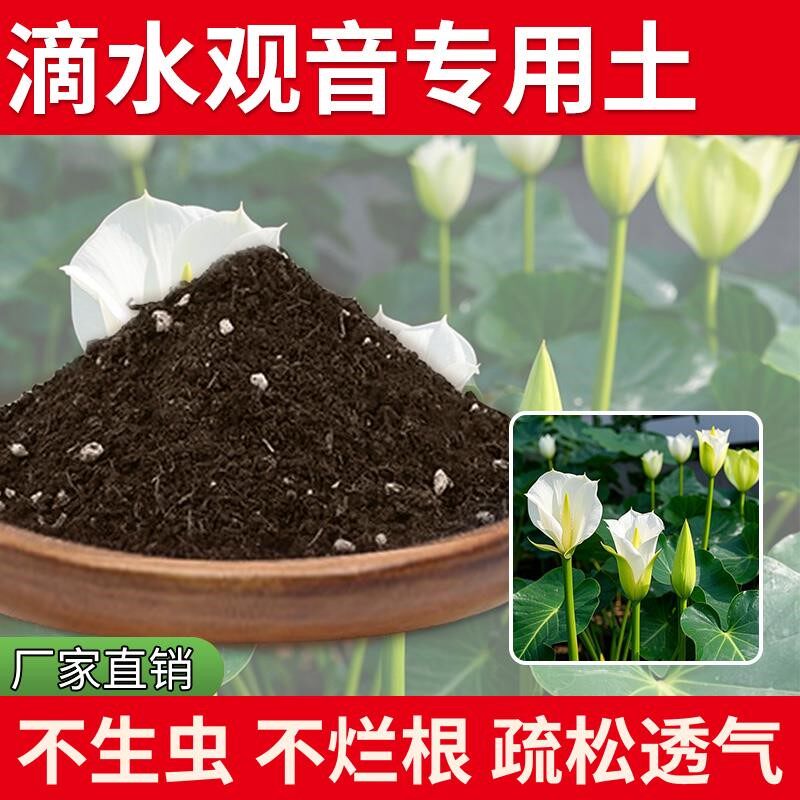 滴水观音专用土育苗花土盆栽专用土种菜土多肉土花卉通用通用型