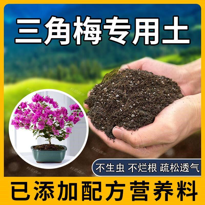 三角梅专用土营养土三角梅肥料鲜花透气椰砖盆栽天然泥土园艺绿植