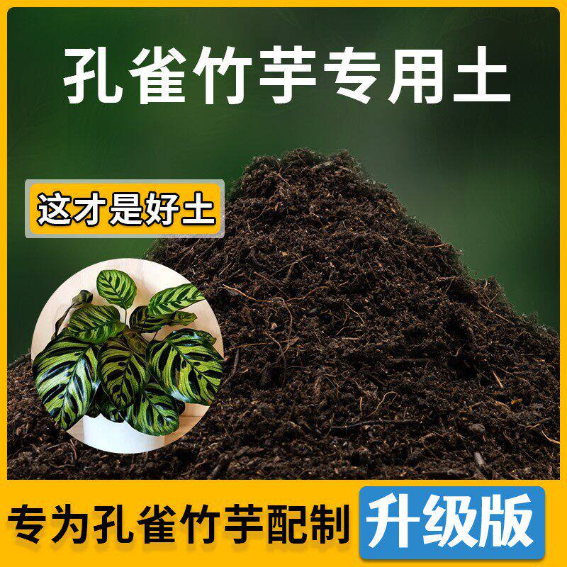 孔雀竹芋专用土家用种植土壤透气孔雀竹芋营养土盆栽种花土有机土