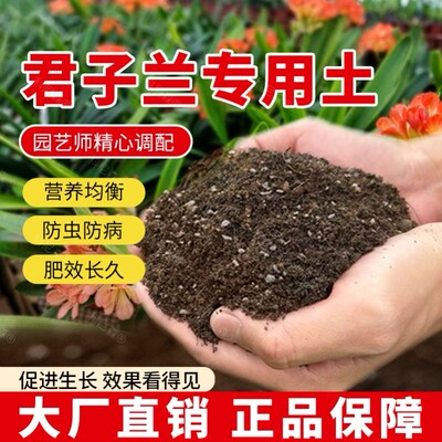 君子兰专用土阳台种植土壤家庭花卉种植土君子兰专用肥育苗营养土