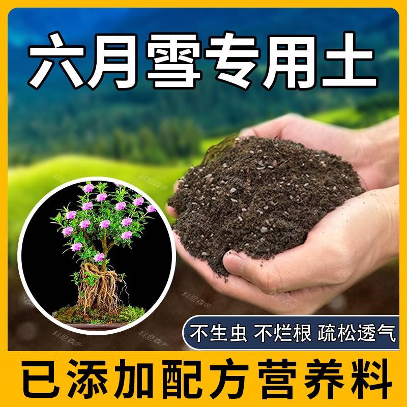 六月雪专用土肥料蓬松六月雪营养土花盆泥土天然花草盆栽土壤种花